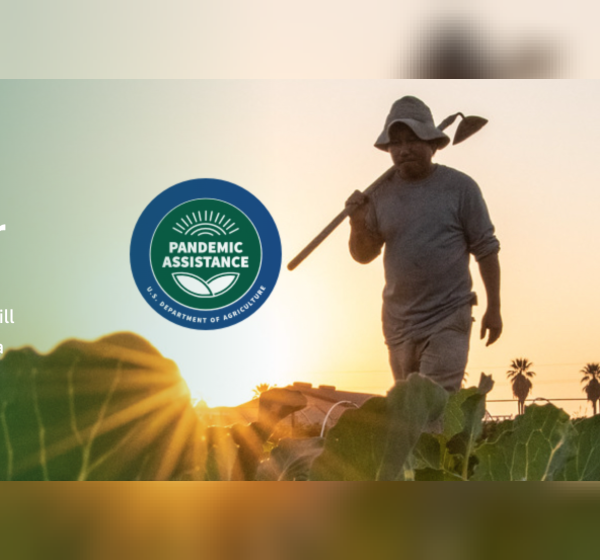 Farmer