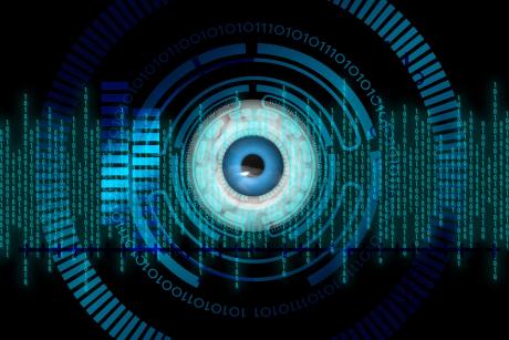 Iris scan for biometric verification of identity