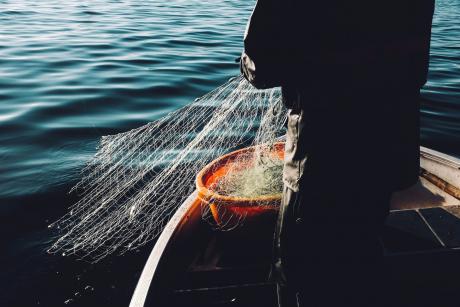 Fishing Image: Fredrik Öhlander, Unsplash